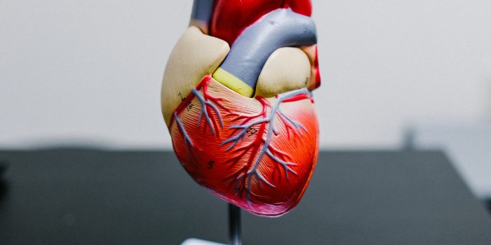 high cholesterol and heart health